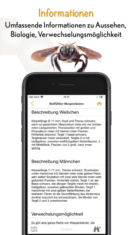 Wildbienen Id BienABest screenshot-4