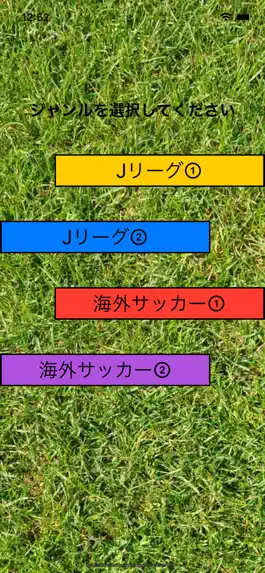 Game screenshot SoccerQuiz apk