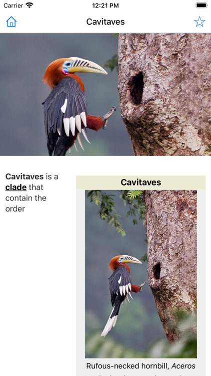 Encyclopedia of Birds screenshot-3