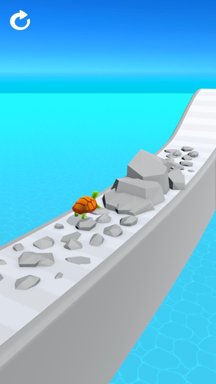 Turtle Race 3D screenshot-3