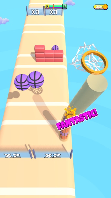 Hoop Run 3D! screenshot-8