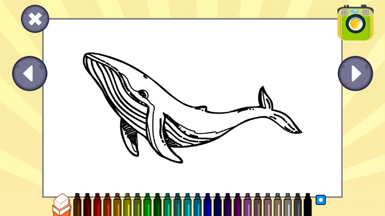 Animal Coloring Book Games App