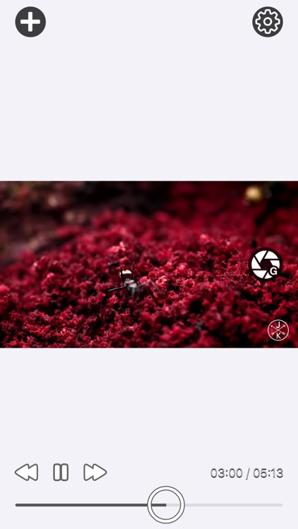 Video To Photo Plus screenshot-6