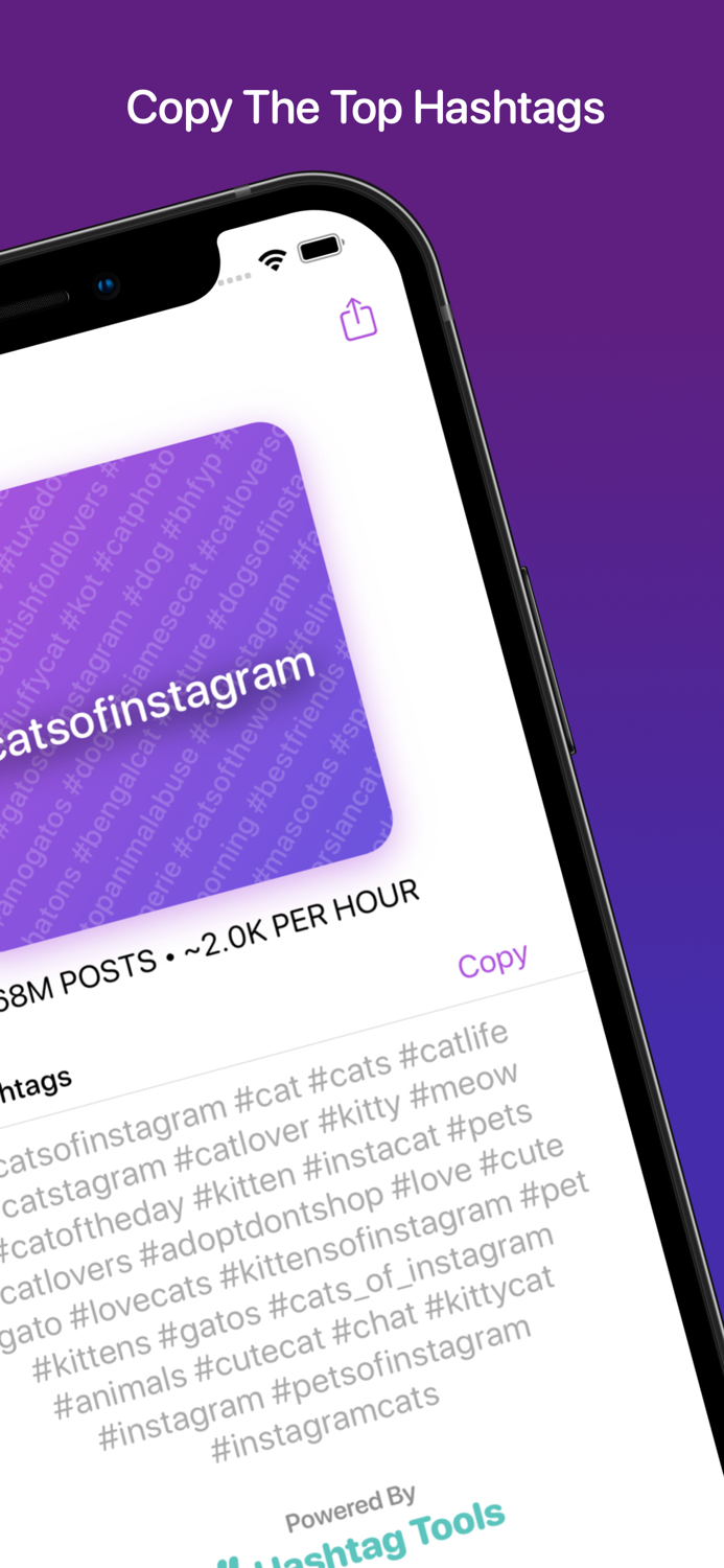 Two Degrees of Instagram