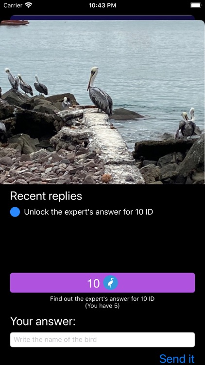 Bird ID - Bird Identification