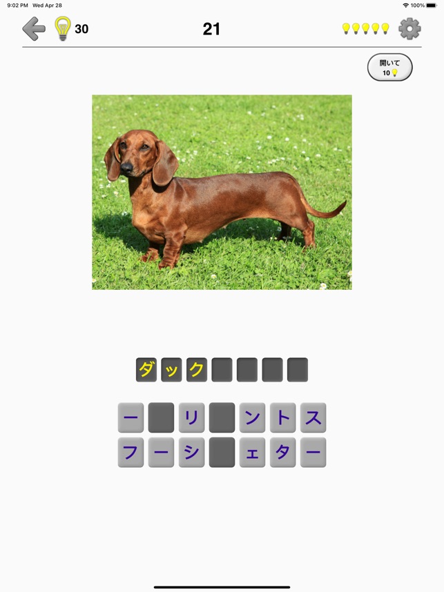 犬 写真付きクイズ 犬の品種一覧 をapp Storeで