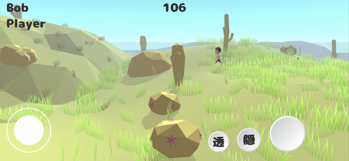 Online Hide and Seek