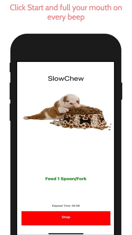 SlowChew