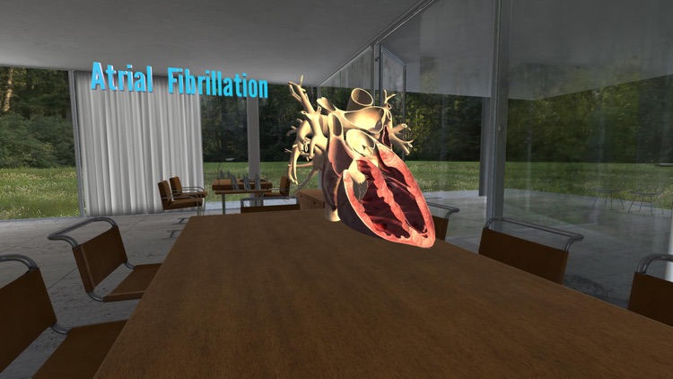 Antiarrhythmics for Afib