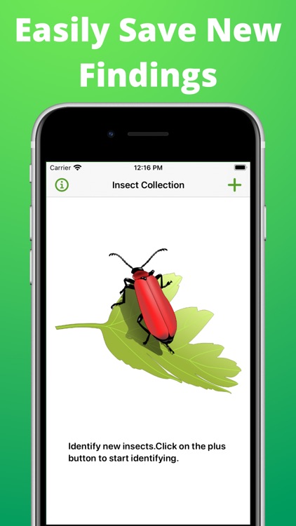 Bug identifier - Spider,Worm screenshot-3