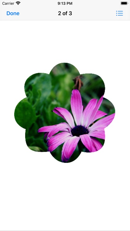 Flower Photo Sticks
