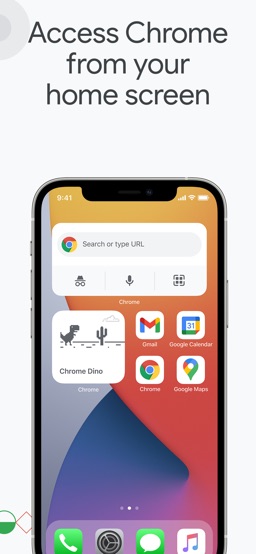 Google Chrome app screenshot