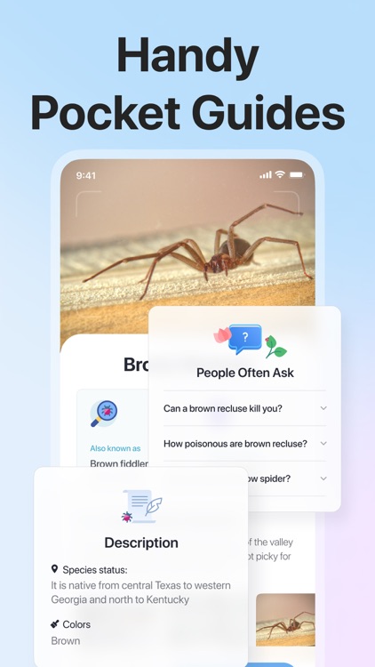 Picture Insect: Bug Identifier screenshot-4