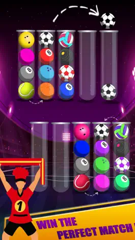 Game screenshot Sort Ball Color Puzzle Games mod apk