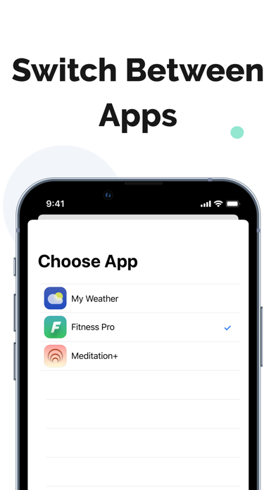 apphud-the-official-app-ipad-screen-shot-2