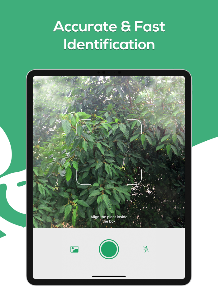 Plant Identifier - WhatPlant