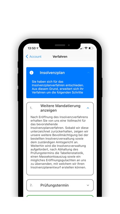 Privatinsolvenz screenshot-3