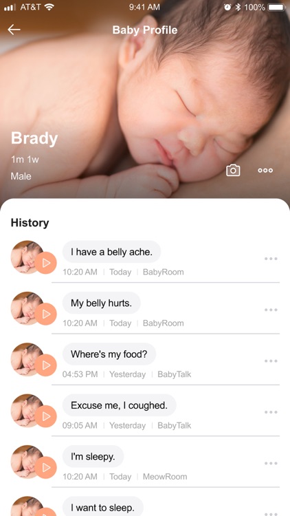 BabyTalk Translator