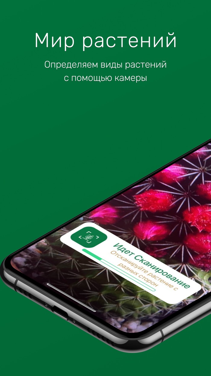 Мир растений