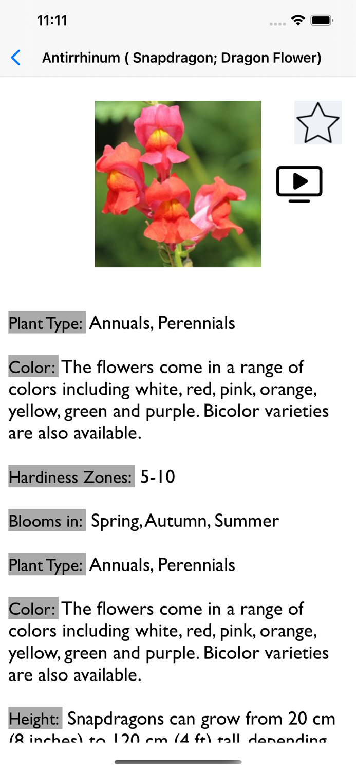 Flowers Dictionary with Images