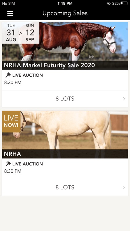 NRHA Futurity Sales