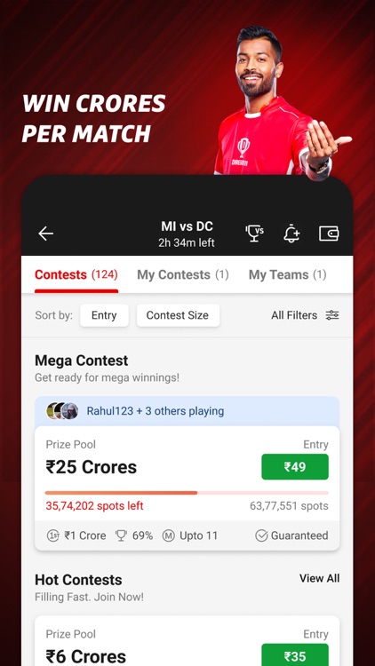 Dream11: Fantasy Cricket App screenshot-3