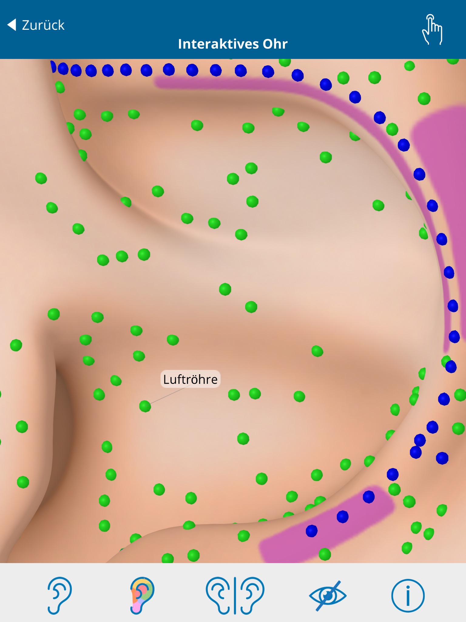 Auriculo 360 - The Living Ear screenshot 4
