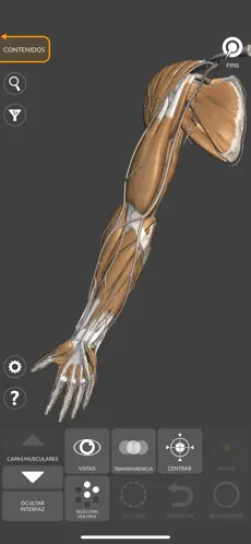 Screenshot 7 Anatomía 3D para el artista 2 iphone