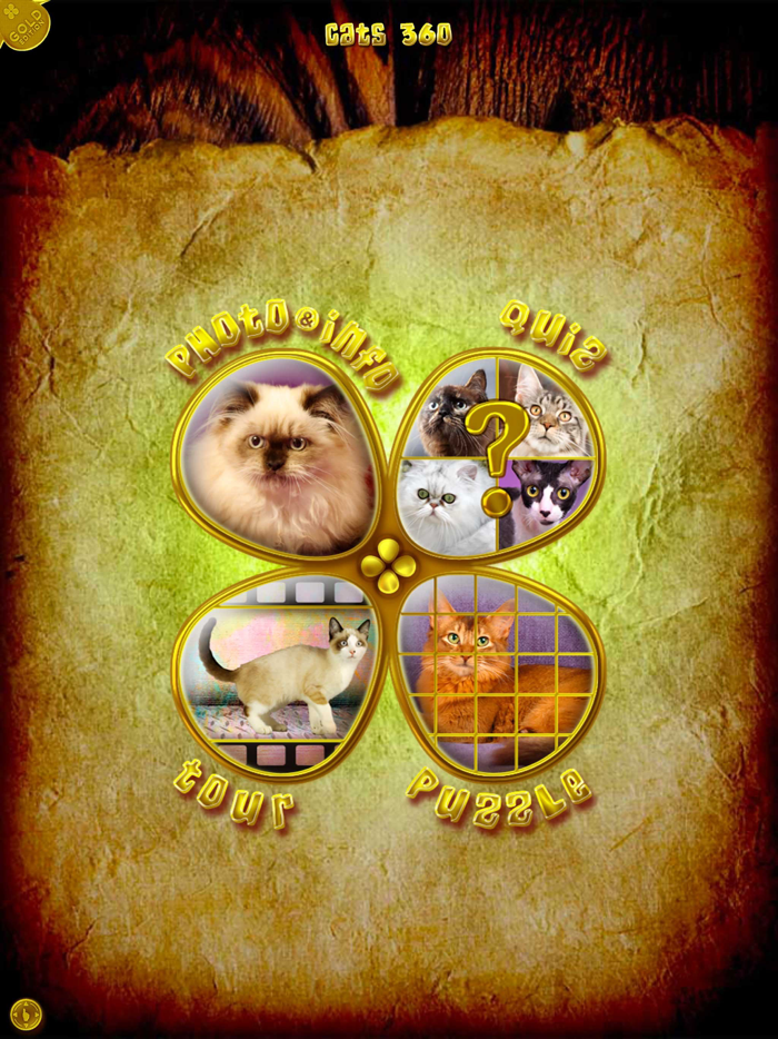 Animals 360 - Cats Gold