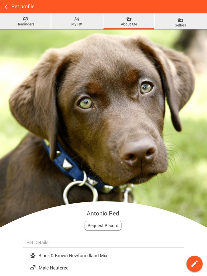 Starkville Veterinary Hospital