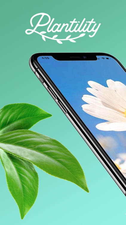 Plantility - Identify Plants