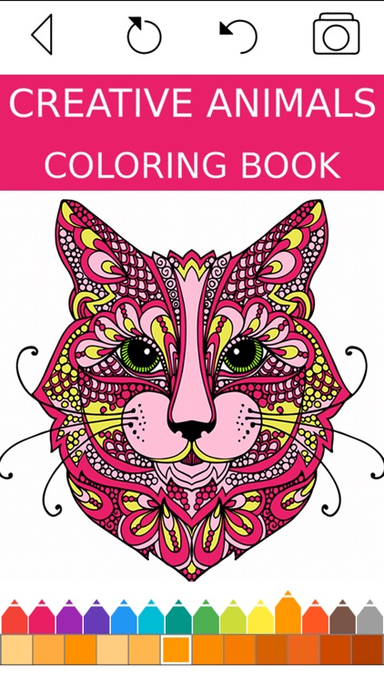 Animal Coloring Book -