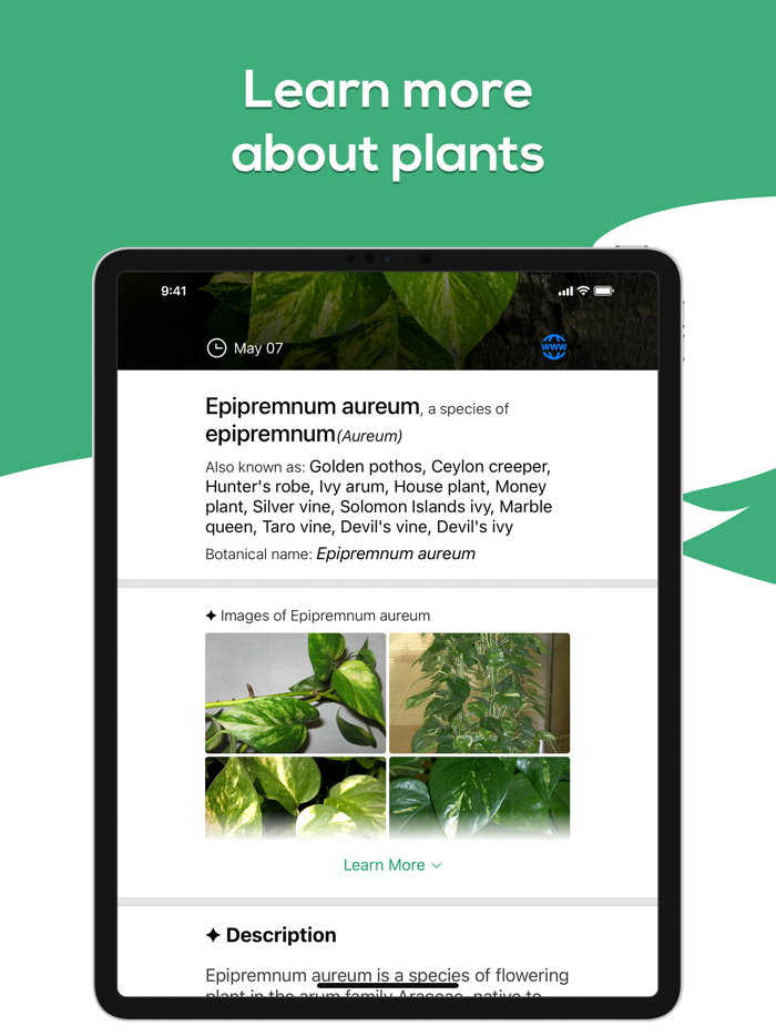 Plant Identifier - WhatPlant
