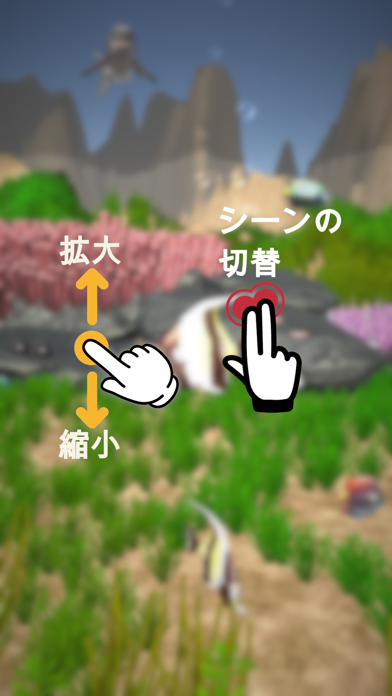 熱帯魚オアシス紹介画像2