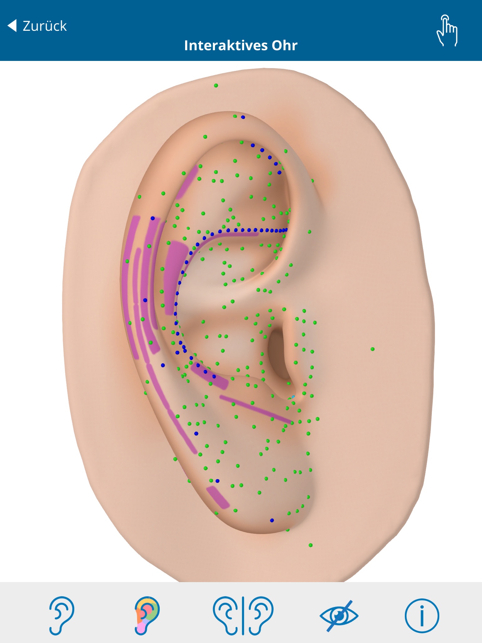 Auriculo 360 - The Living Ear screenshot 3