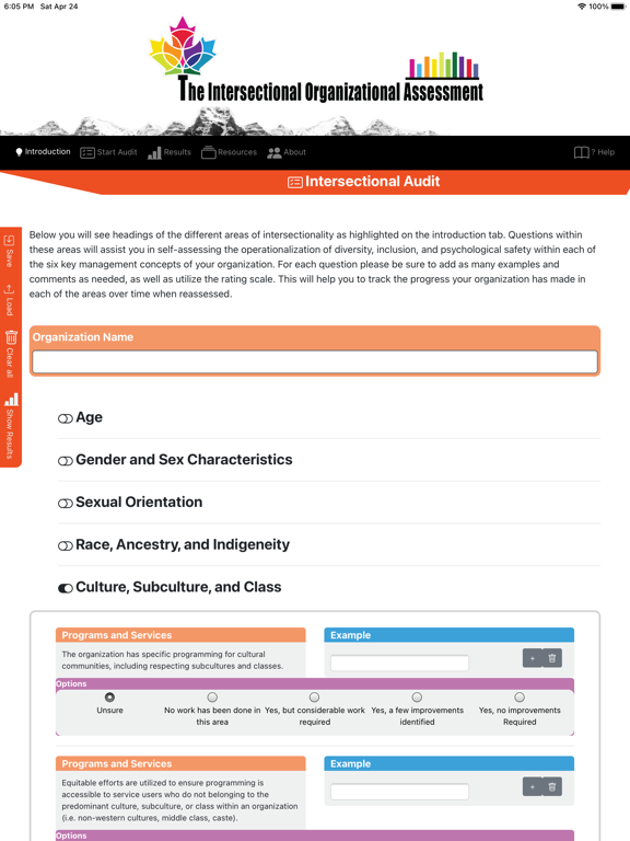 Intersectional Org. Assessment screenshot 4