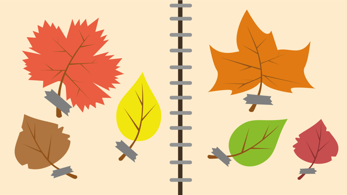 Forest Camp. Tourist vacation