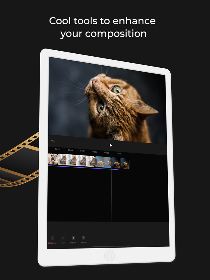 Easy Video Editor Pro