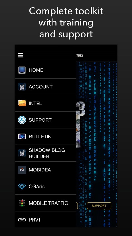 Mobile Money Matrix