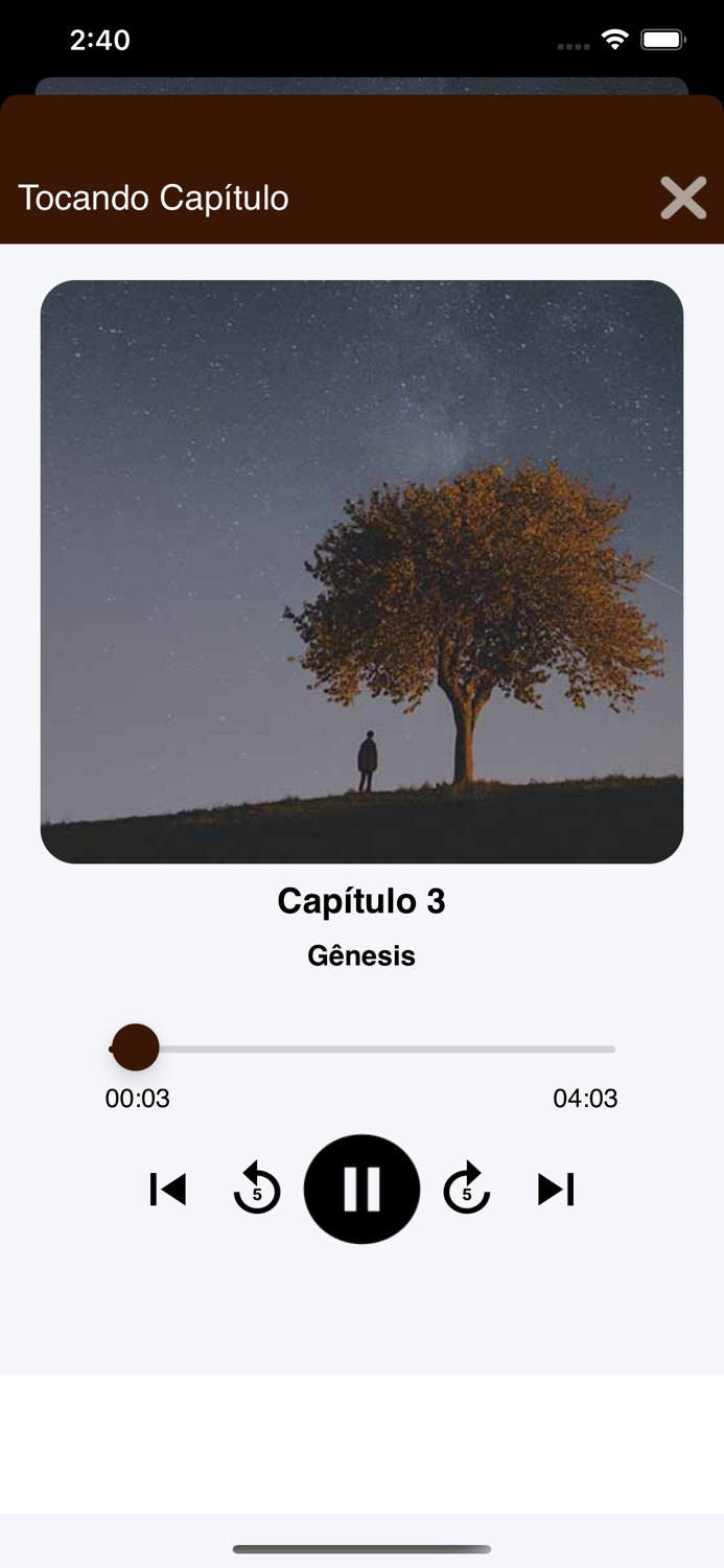 Bíblia Falada Palavra de Deus