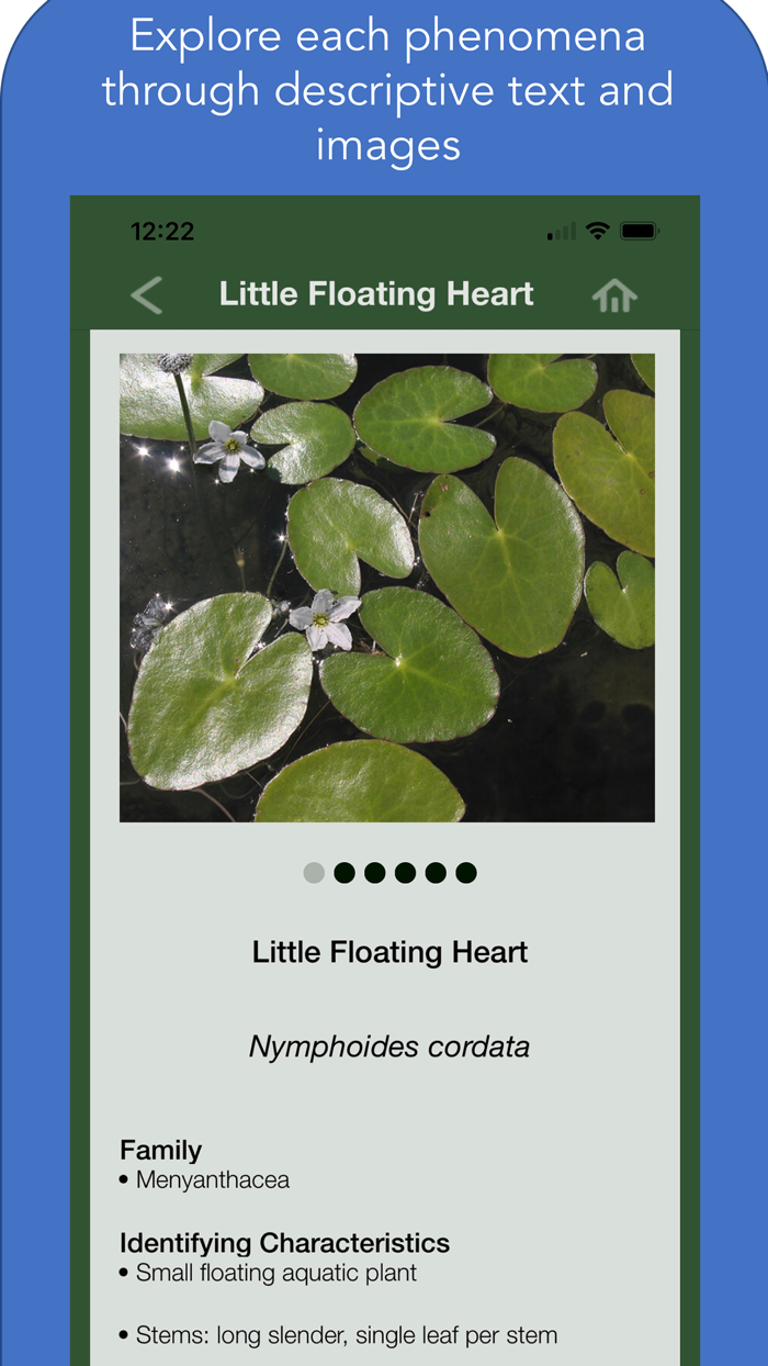 Maine Aquatic Phenomena