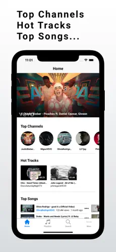 Screenshot 1 VancedTube: Online Music Video iphone