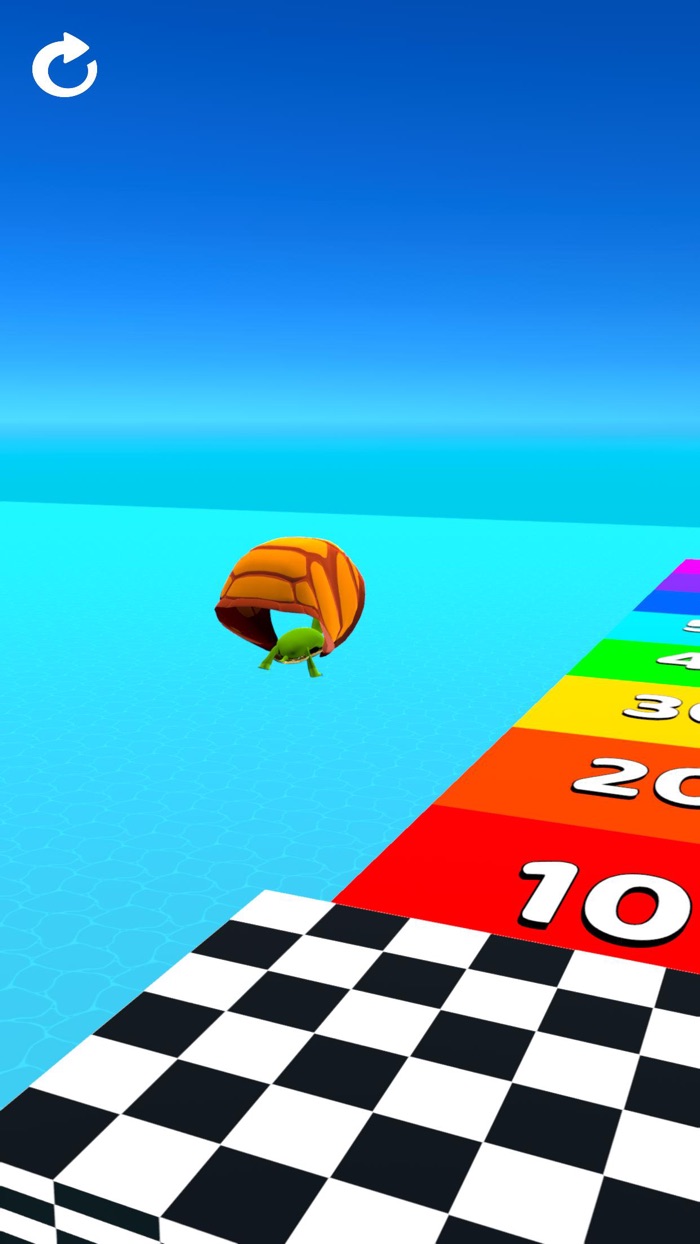Turtle Race 3D