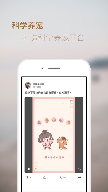 小萌猫 screenshot-3