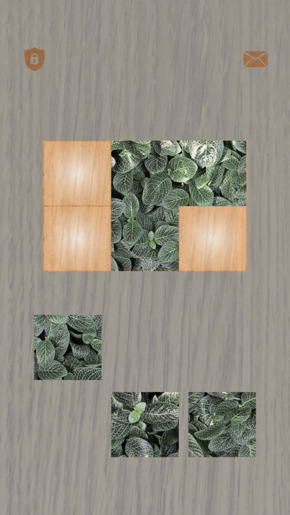 Plants: Tiling Puzzles