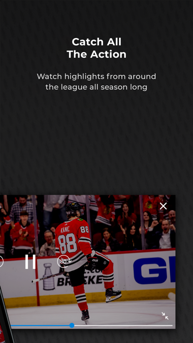 NHL screenshot1