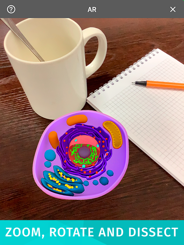 Bacteria AR Zoom Cell Anatomy