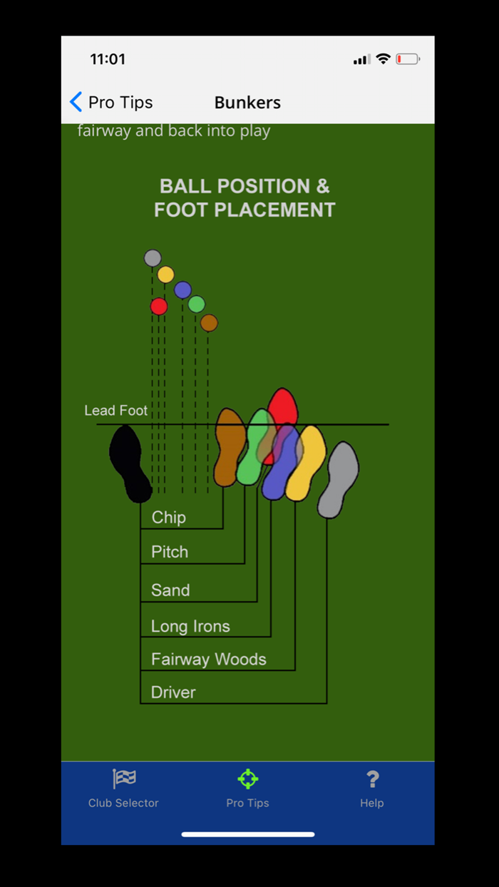 Golf Caddy Personal Assistant