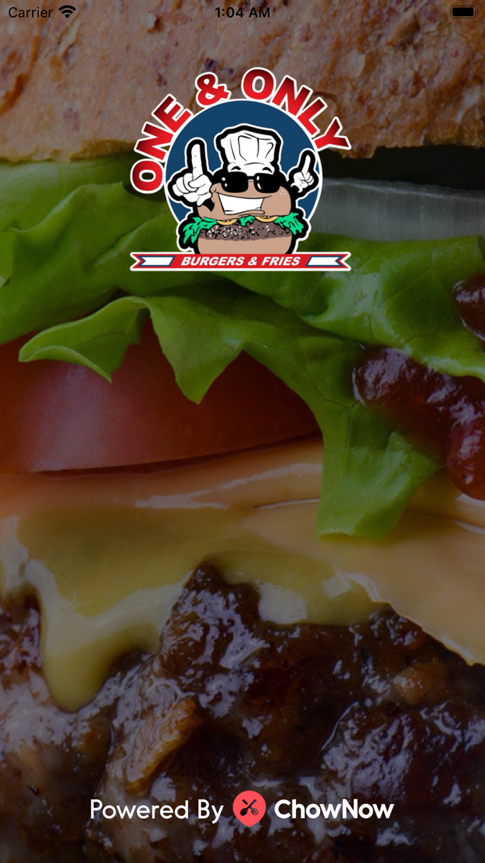 One  Only Burgers and Fries