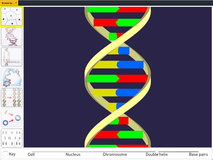 Science SuperLab - Secondary screenshot-4